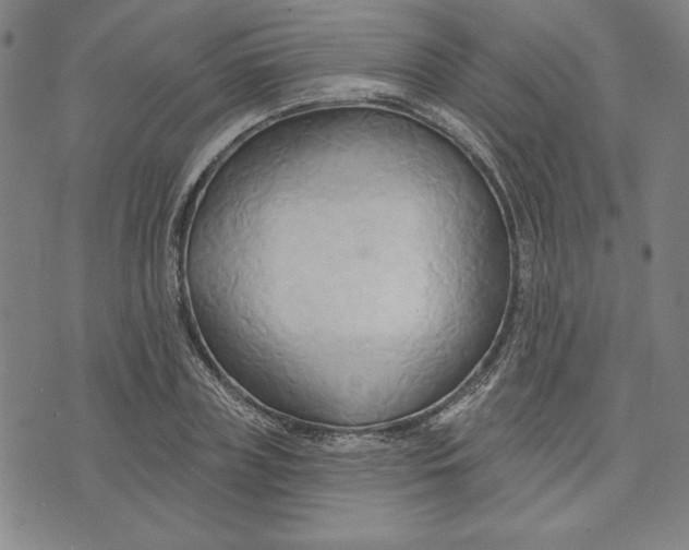 X0000076220835200610191530