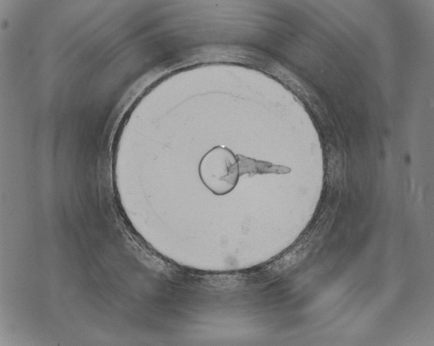 X0000076220836200610191530