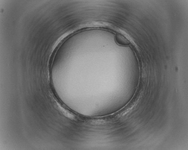 X0000076220837200610191530