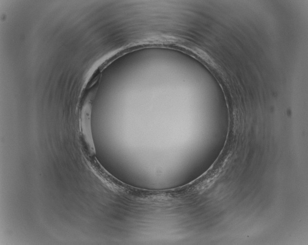 X0000076220838200610191530