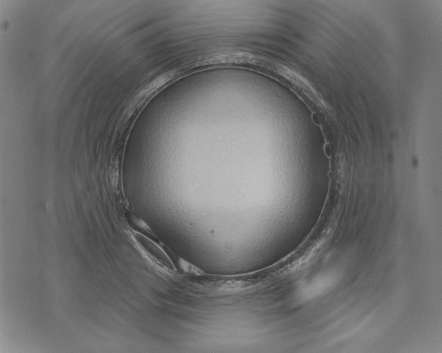 X0000076220841200610191531