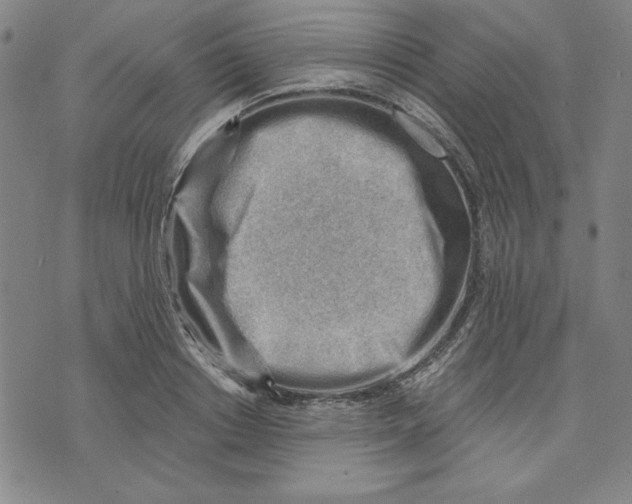 X0000076220842200610191531