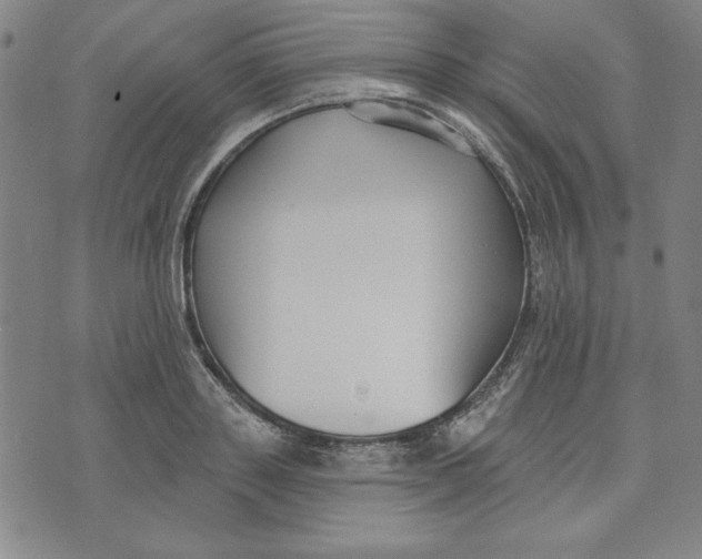 X0000076220843200610191531