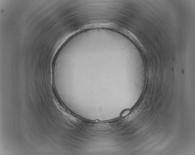 X0000076220844200610191531