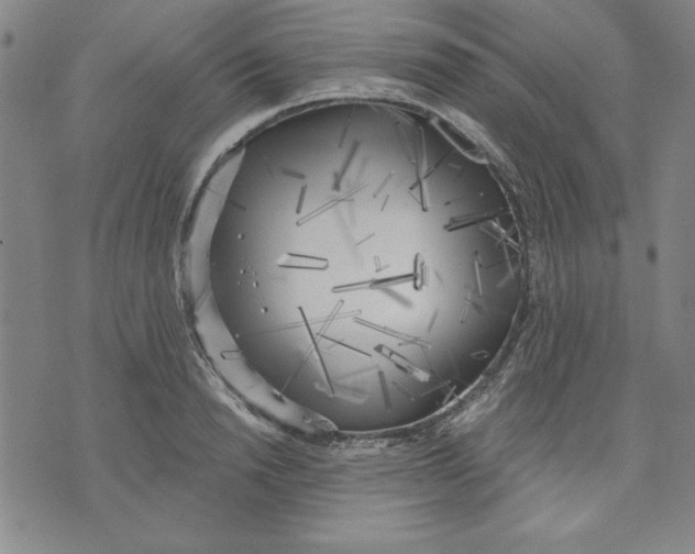 X0000076220846200610191531