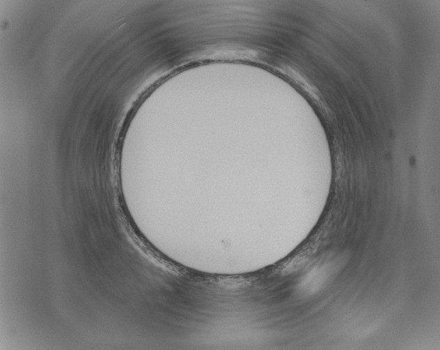 X0000076220848200610191531