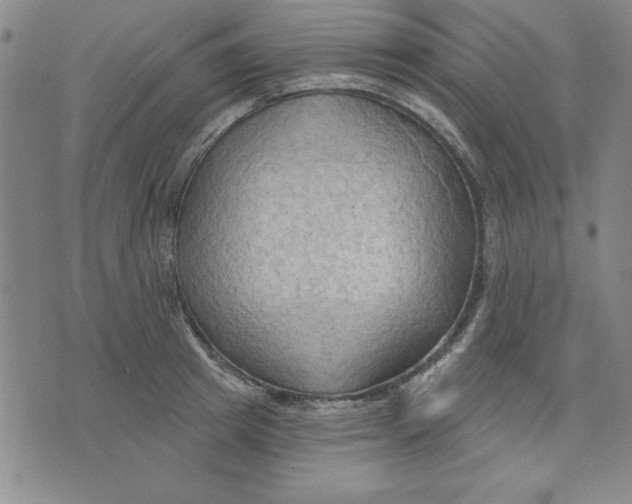 X0000076220849200610191531