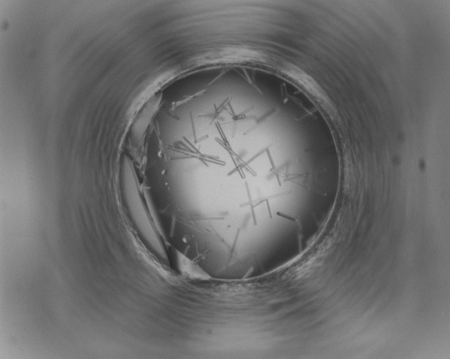 X0000076220850200610191531