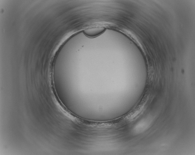 X0000076220851200610191531