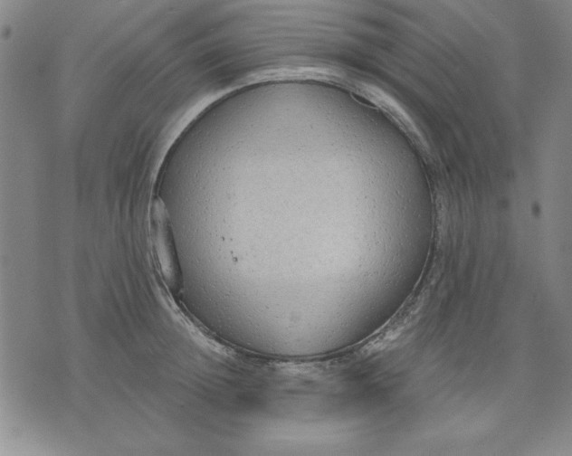 X0000076220852200610191531