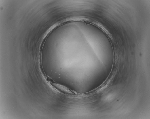 X0000076220853200610191531