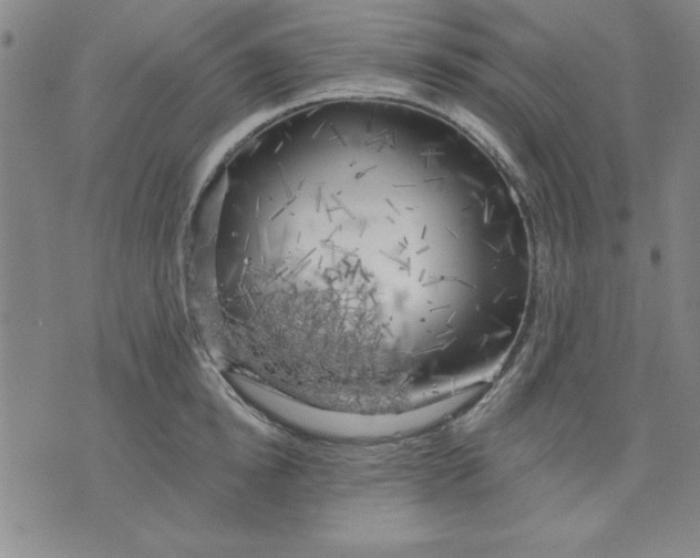 X0000076220854200610191531