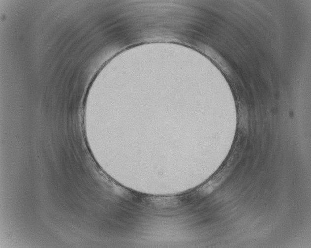 X0000076220856200610191531