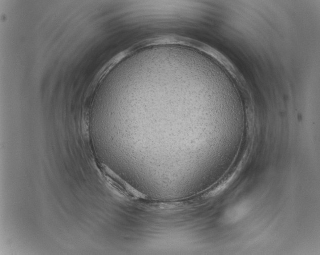 X0000076220857200610191531