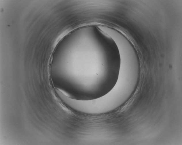 X0000076220858200610191531