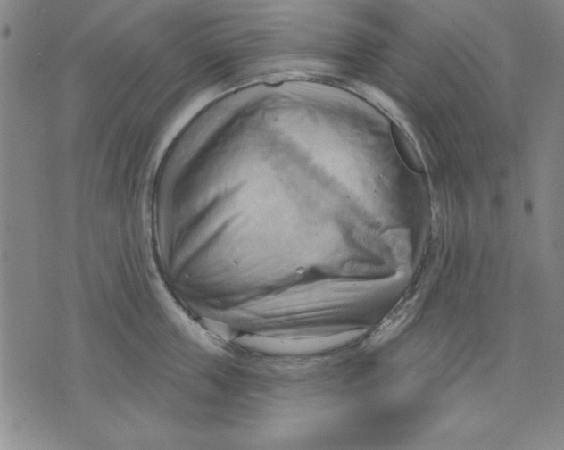 X0000076220859200610191531