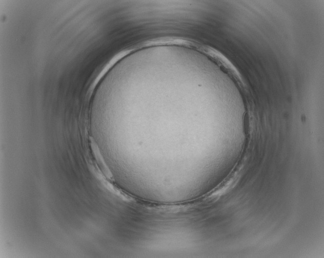 X0000076220860200610191531