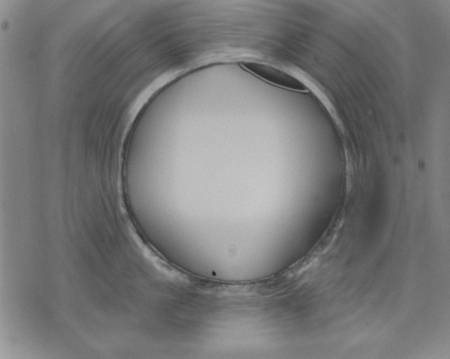 X0000076220861200610191531