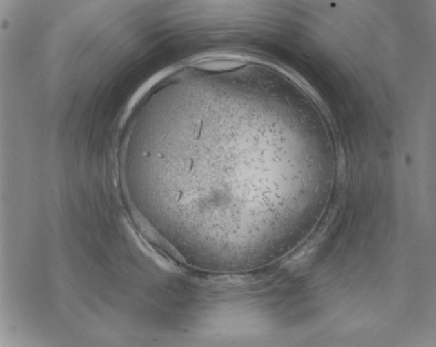 X0000076220862200610191531