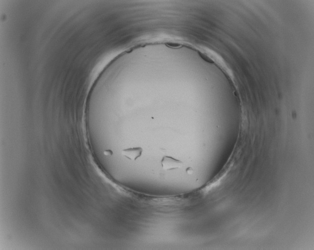 X0000076220863200610191531