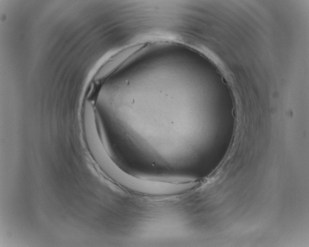 X0000076220864200610191531