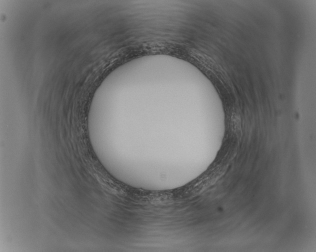 X0000076220865200610191530