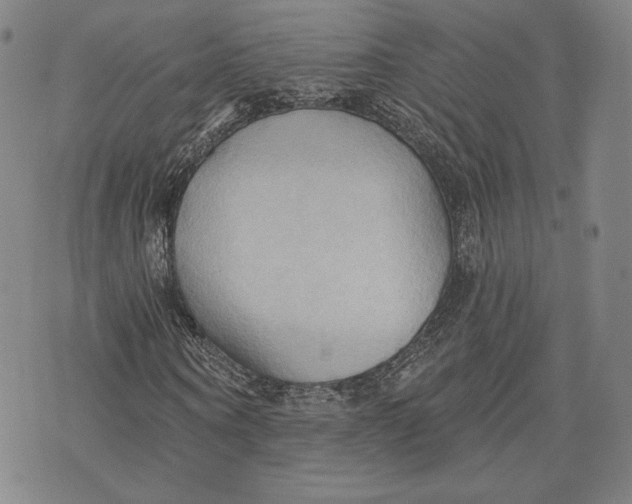 X0000076220866200610191530