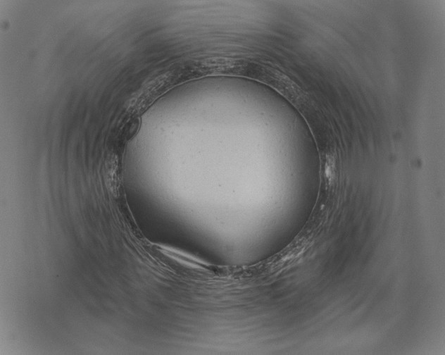 X0000076220867200610191530