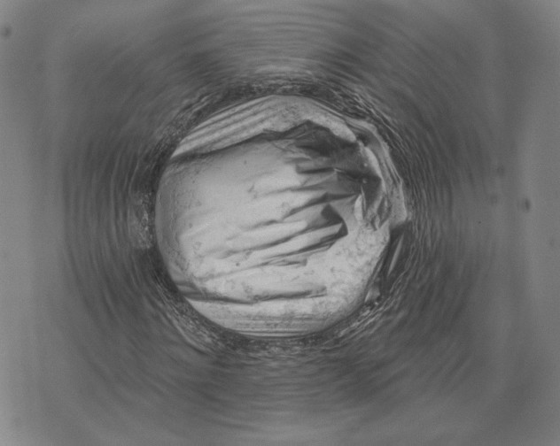 X0000076220868200610191530