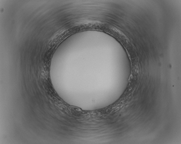 X0000076220869200610191530