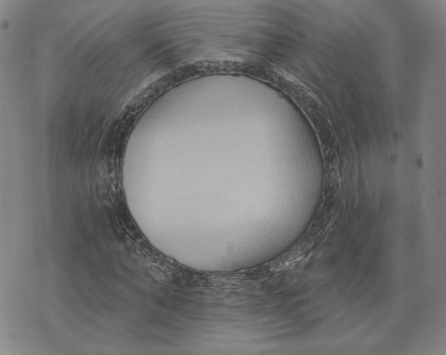 X0000076220870200610191530