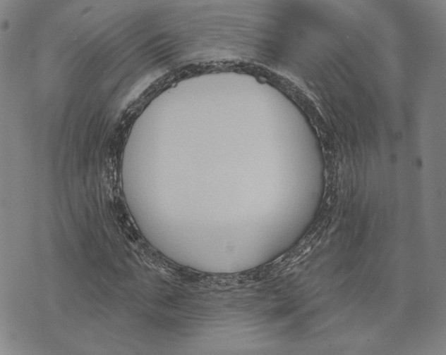 X0000076220871200610191530