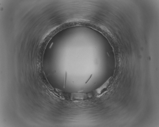 X0000076220872200610191530