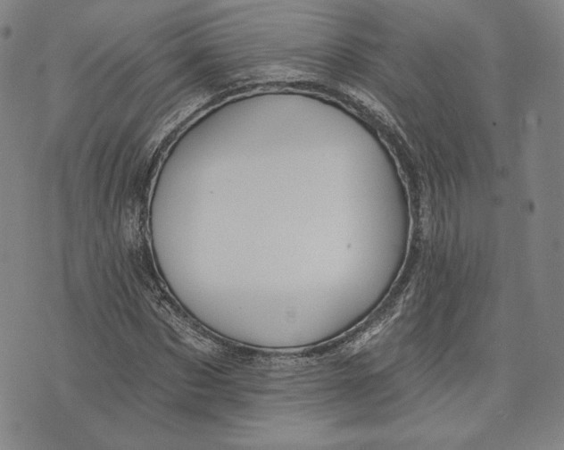 X0000076220873200610191530