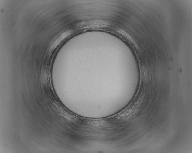 X0000076220874200610191530