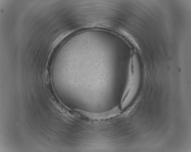 X0000076220876200610191530