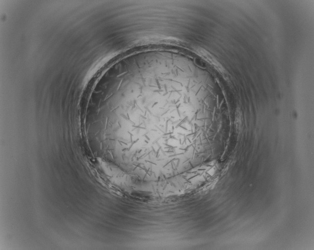 X0000076220877200610191530