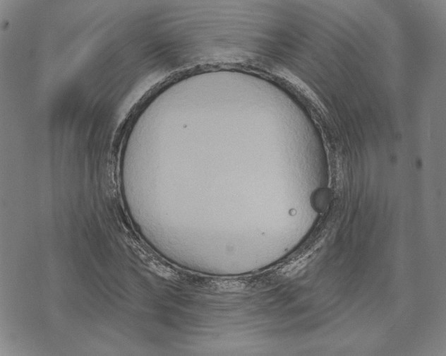 X0000076220878200610191530