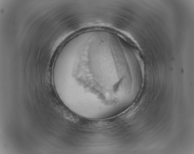 X0000076220879200610191530