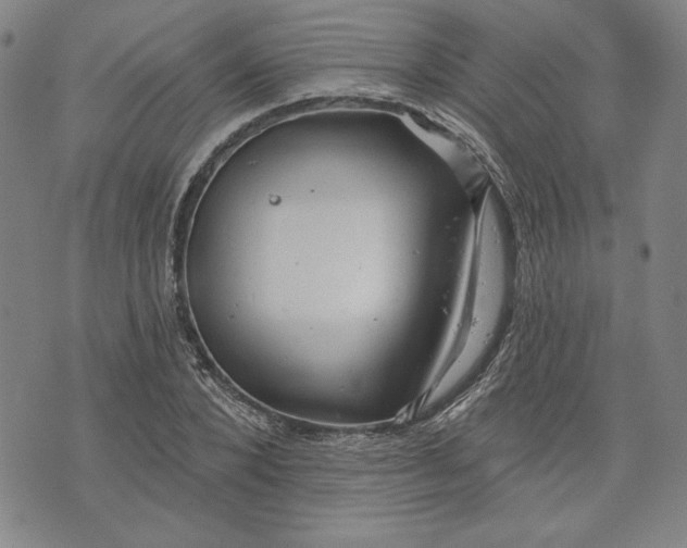 X0000076220880200610191530