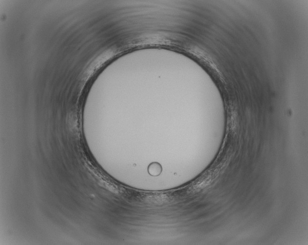 X0000076220882200610191530