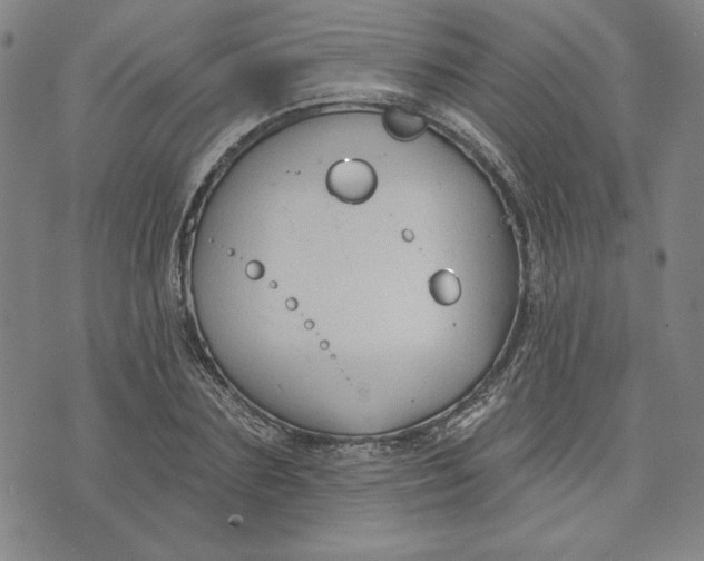 X0000076220883200610191530