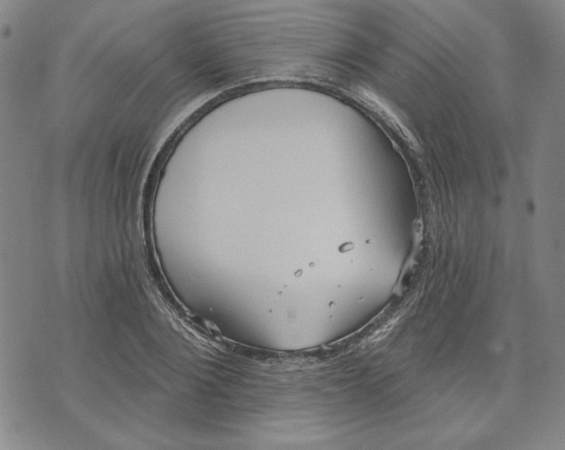 X0000076220884200610191530