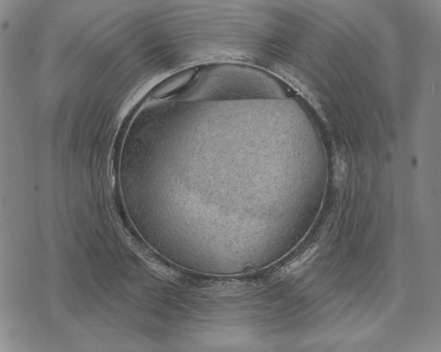 X0000076220885200610191530