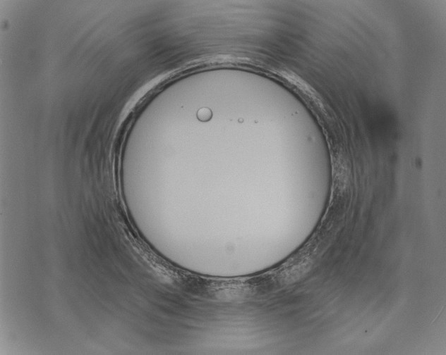 X0000076220886200610191530