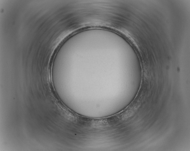 X0000076220887200610191530