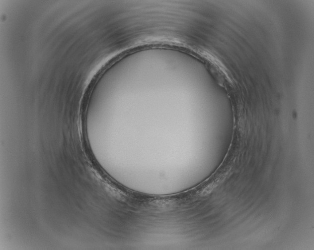 X0000076220888200610191530