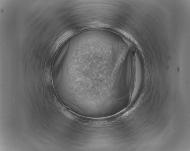 X0000076220889200610191530