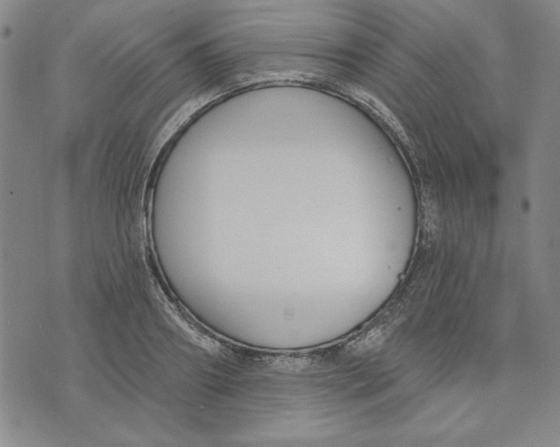 X0000076220890200610191530