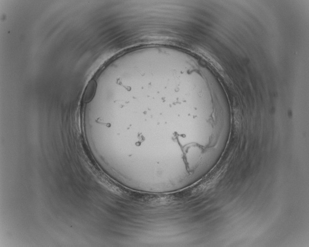 X0000076220891200610191530